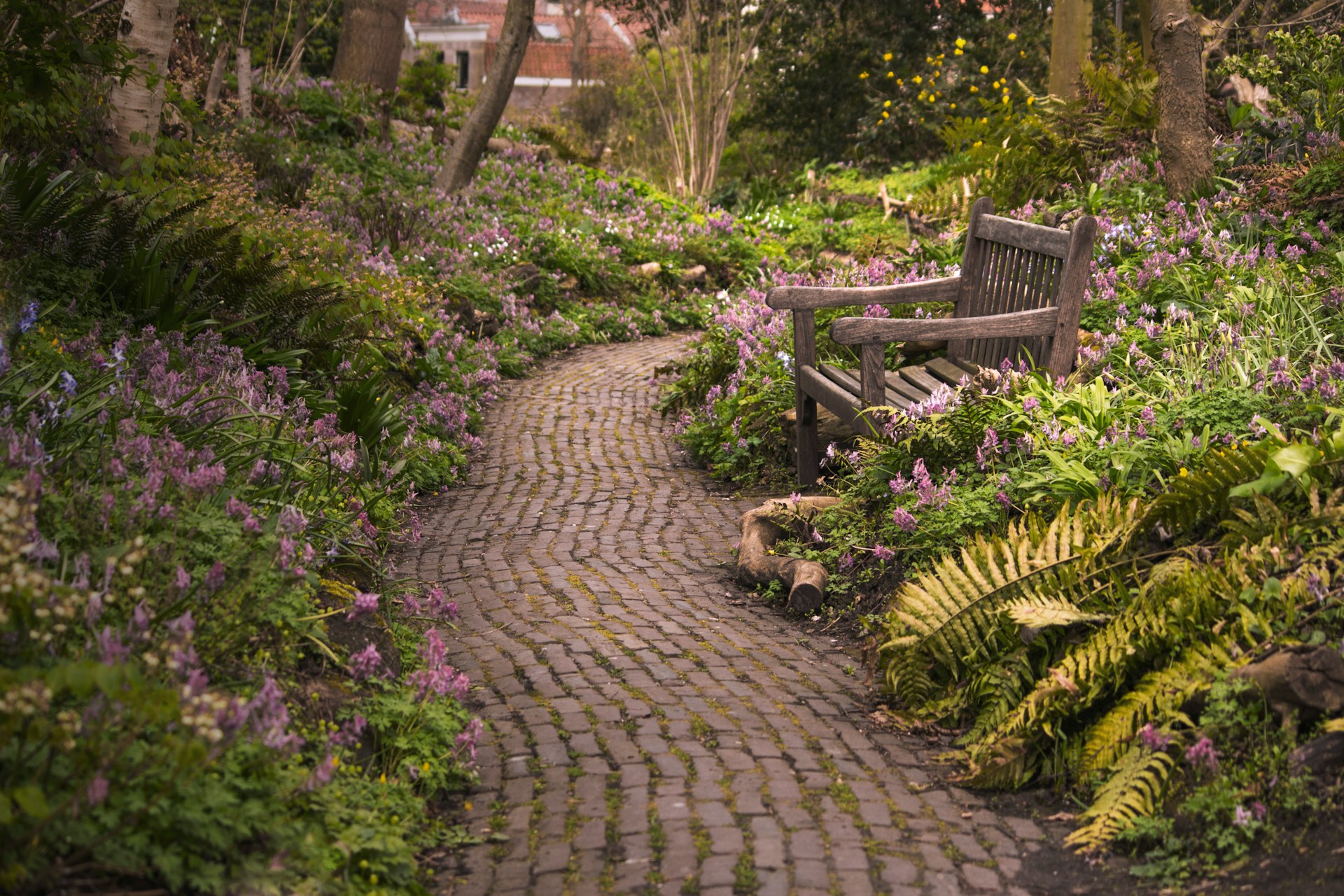 ботанический сад Hortus Botanicus